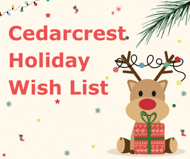 Copy of we wish you a