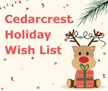 Copy of we wish you a